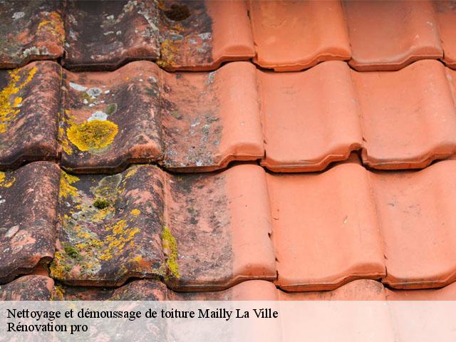 Nettoyage et démoussage de toiture  mailly-la-ville-89270 Rénovation pro 