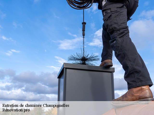 Entretien de cheminée  champignelles-89350 Rénovation pro 