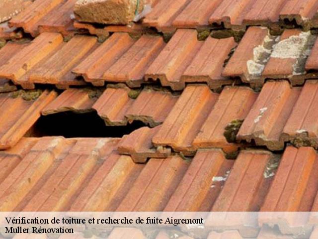 Vérification de toiture et recherche de fuite  aigremont-89800 Muller Rénovation 