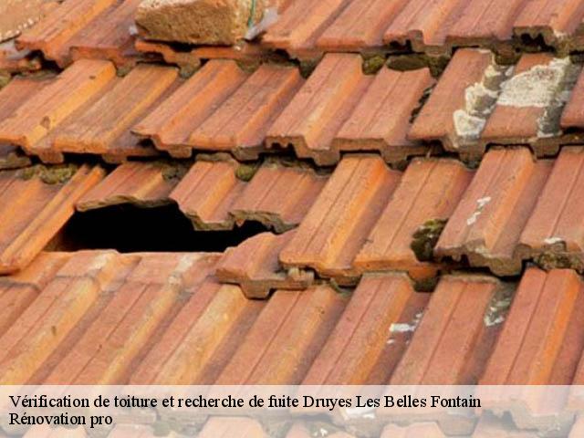 Vérification de toiture et recherche de fuite  druyes-les-belles-fontain-89560 Rénovation pro 