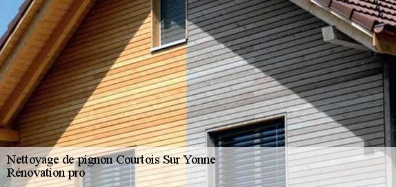 Nettoyage de pignon  courtois-sur-yonne-89100 Rénovation pro 