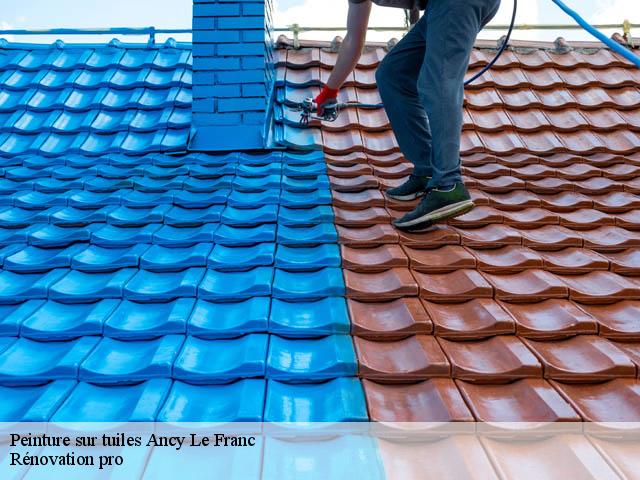 Peinture sur tuiles  ancy-le-franc-89160 Rénovation pro 