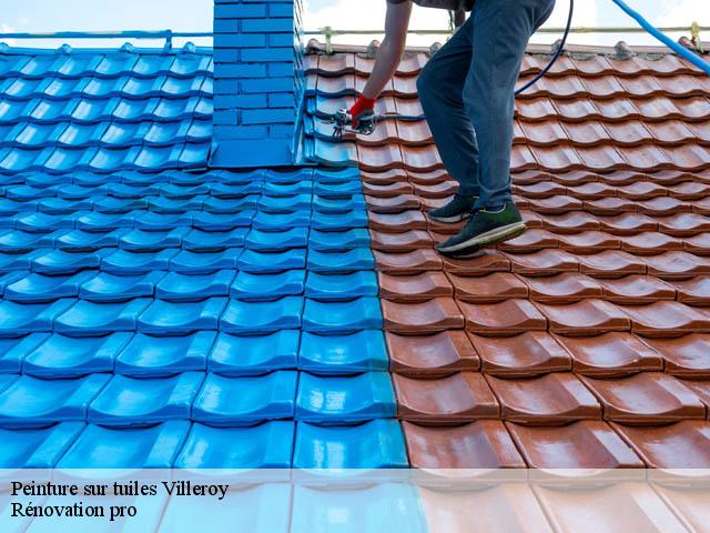 Peinture sur tuiles  villeroy-89100 Rénovation pro 